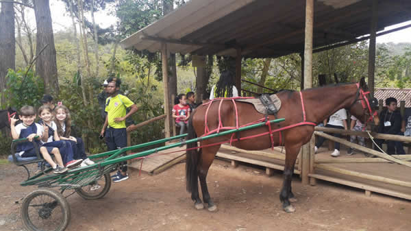 Bicho Mania 2022